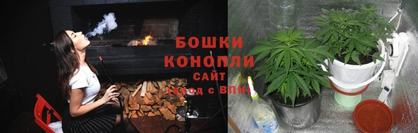не бодяженный Арсеньев