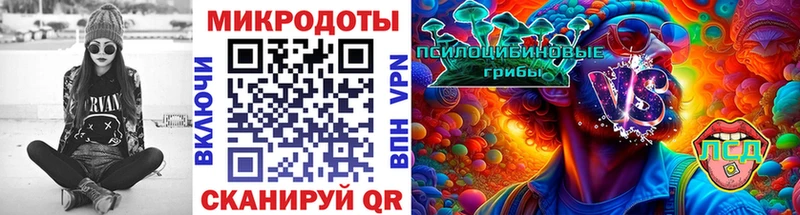 Галлюциногенные грибы прущие грибы Поронайск